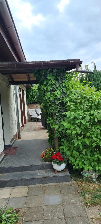 Ferienwohnung Hampel Altglietzen Exteriör bild